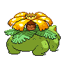 Shiney de dos de Florizarre