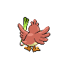 Shiney de dos de Canarticho