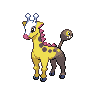 Femelle de Girafarig