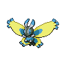 Shiney de Papilord
