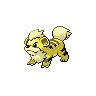 Shiney de Caninos